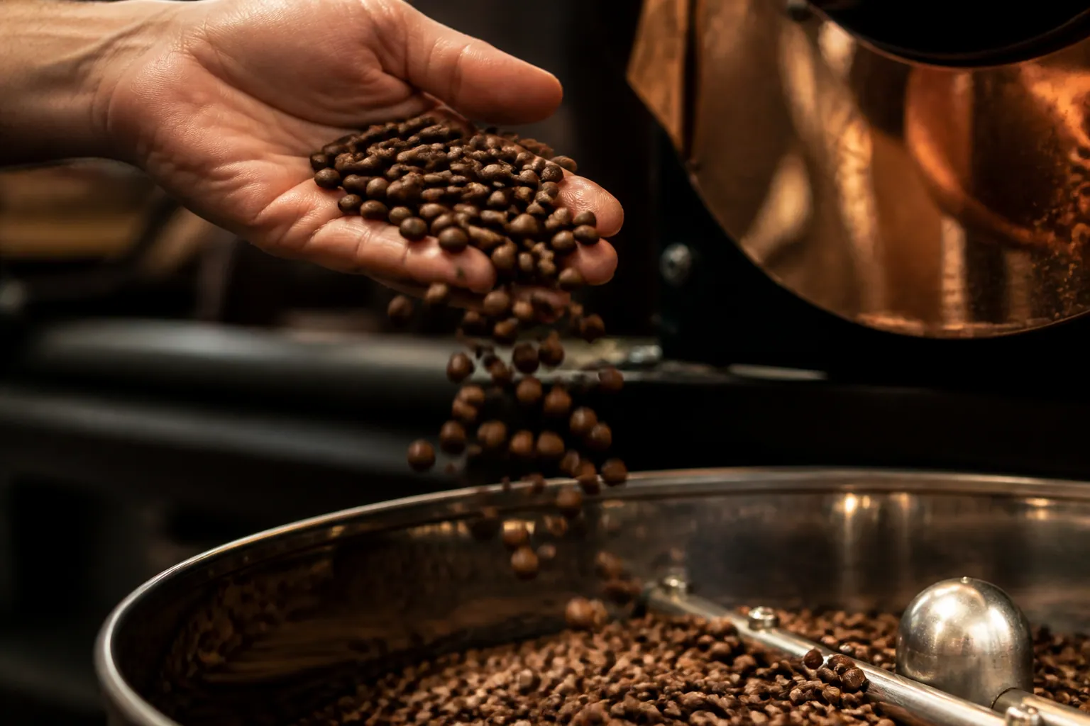 Main versant des grains de café dans un récipient en acier